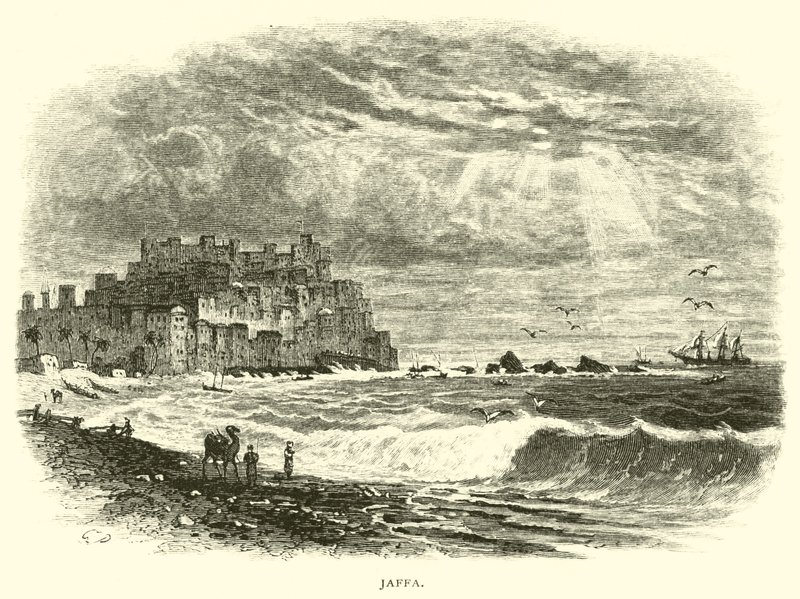 Jaffa von American School