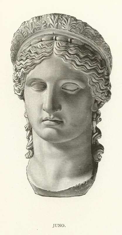 Juno von American School