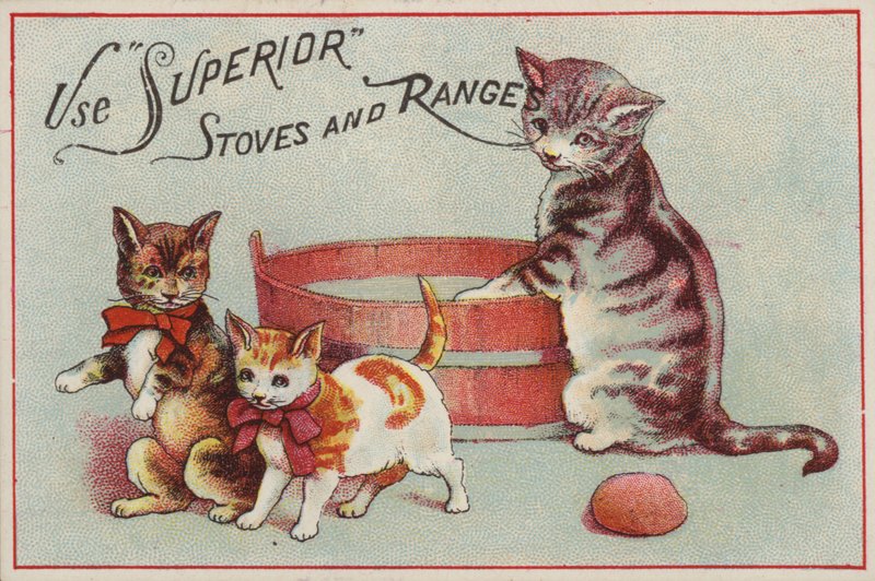 Mutterkatze mit Kätzchen von American School