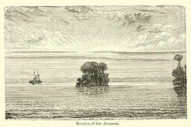 Mündungen des Amazonas von American School