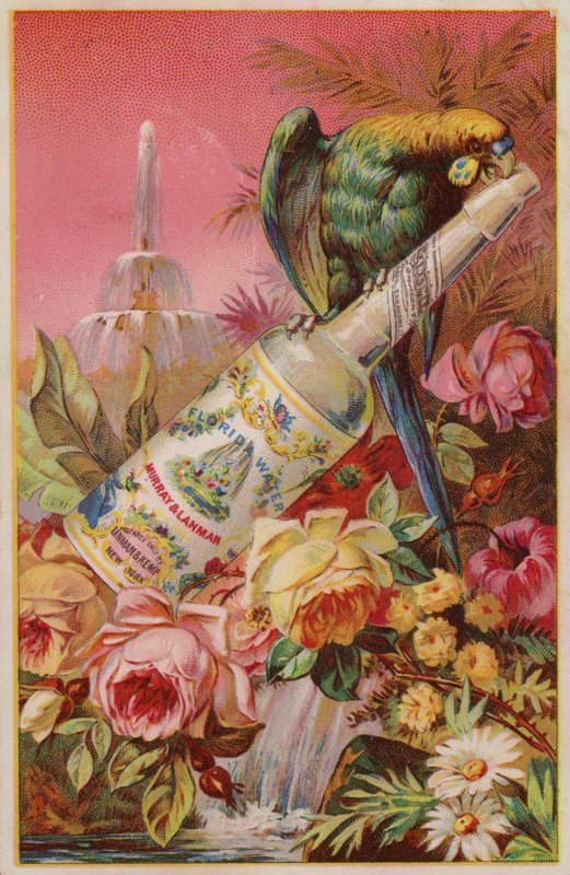 Papagei mit Wasserflasche von American School