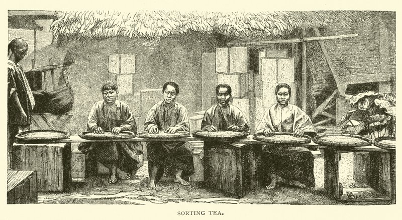 Teesortierung von American School