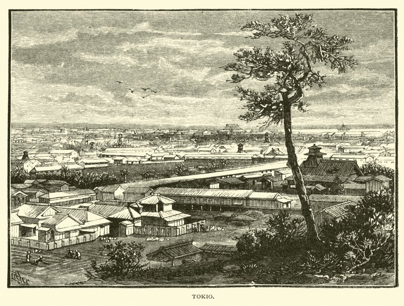 Tokio von American School
