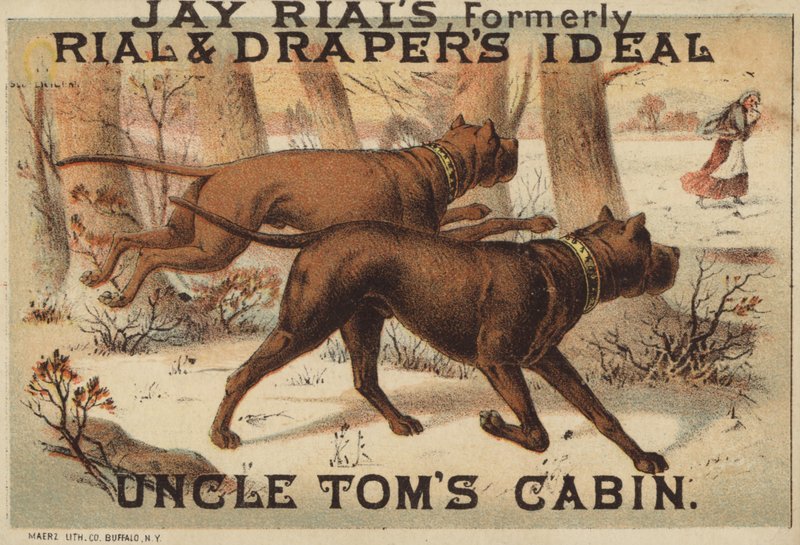 Zwei Hunde im Wald von American School