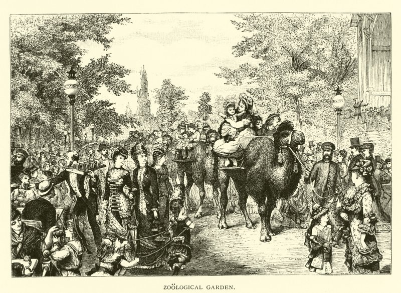 Zoologischer Garten von American School
