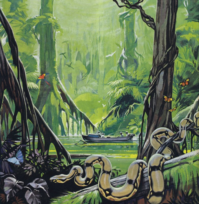 Erkundung des Amazonas von Angus McBride