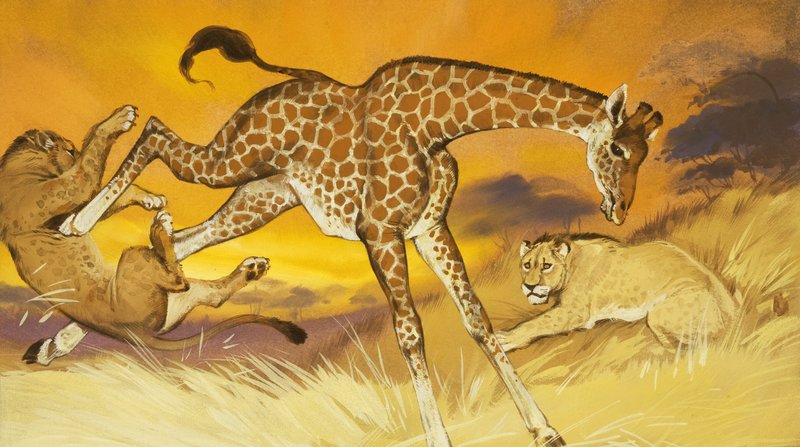 Giraffe tritt Löwen von Angus McBride