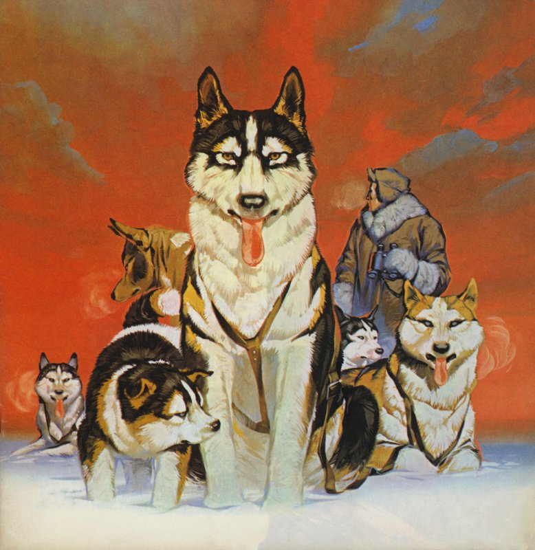 Huskys von Angus McBride