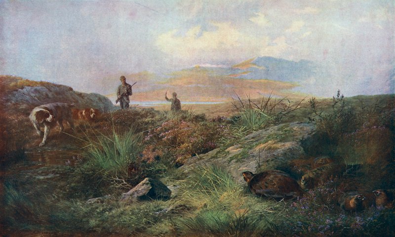 Spannung von Archibald Thornburn