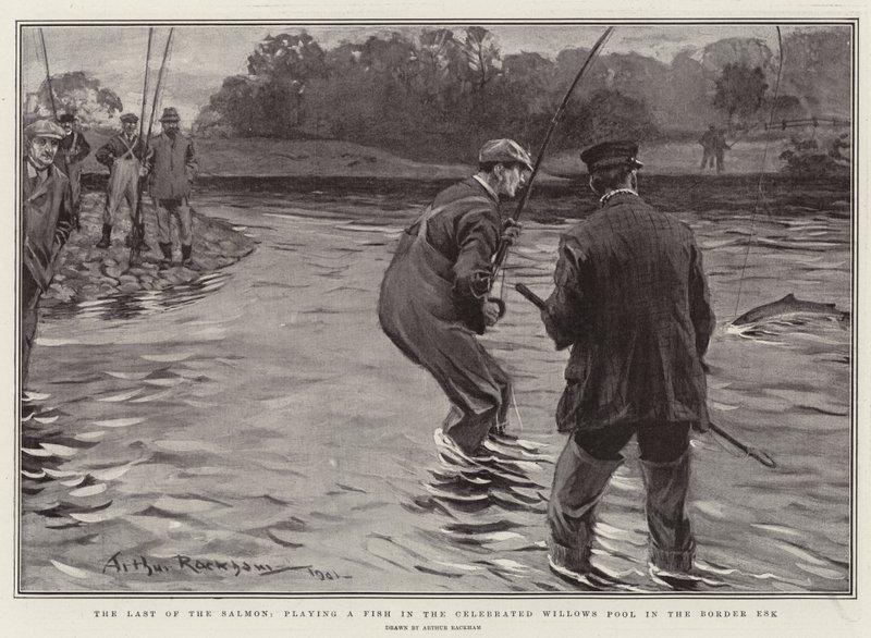 Der letzte Lachs, einen Fisch im berühmten Weidenpool im Border Esk spielend von Arthur Rackham