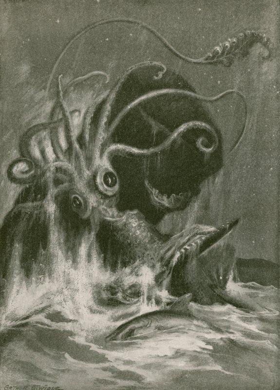 Kraken gegen Pottwal von Arthur Twidle