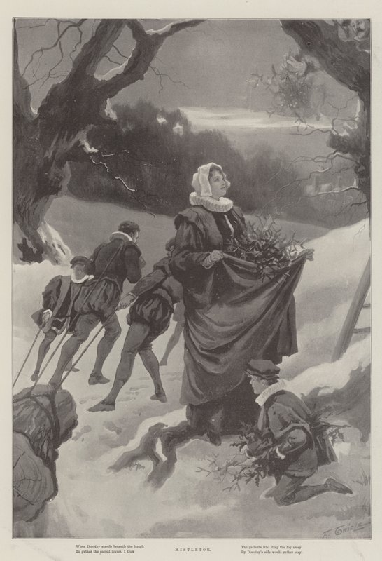 Mistelzweig von Arthur Twidle