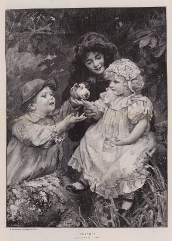 Küken von Arthur John Elsley