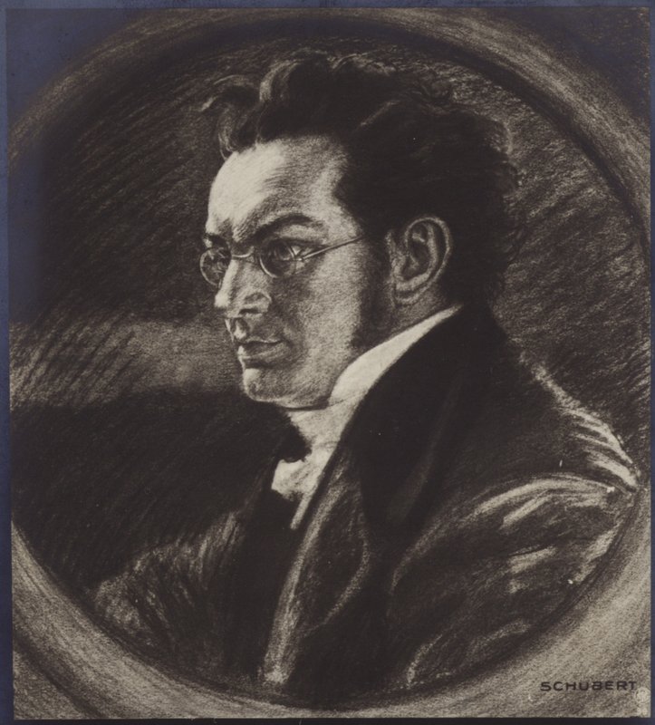 Porträt von Franz Schubert von Austrian School