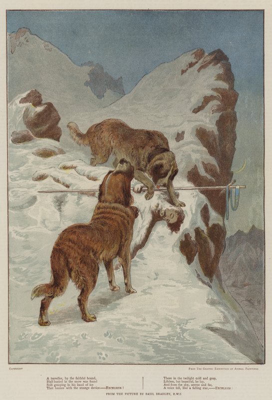Ein Reisender, vom treuen Hund von Basil Bradley