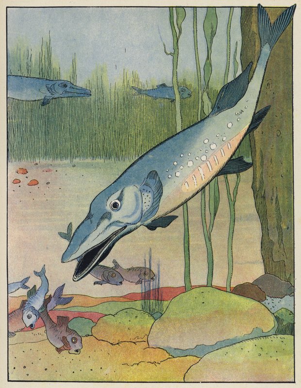 Fische von Benjamin Rabier