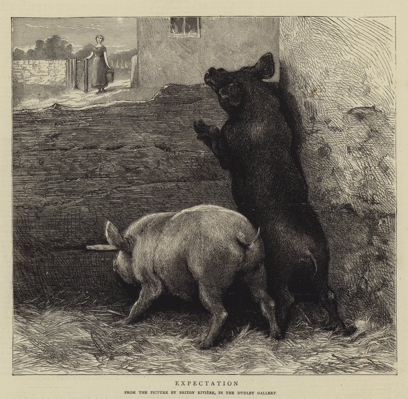 Erwartung von Briton Riviere