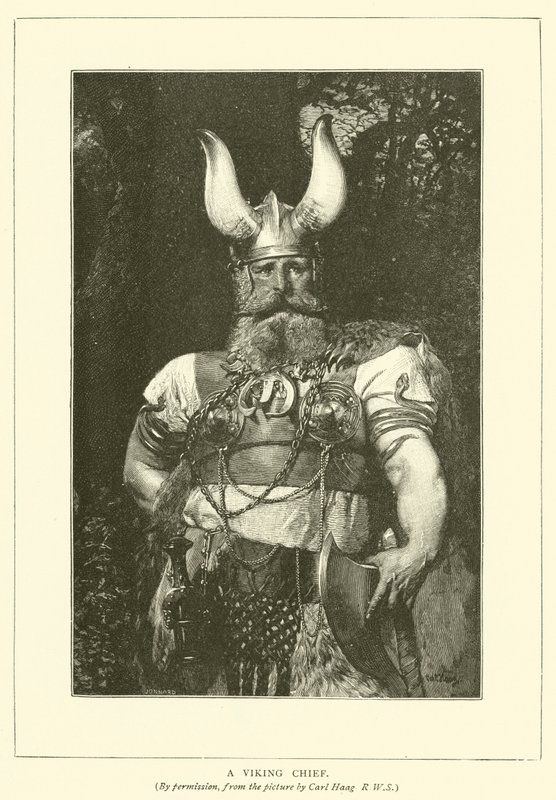 Ein Wikingerhäuptling von Carl after Haag