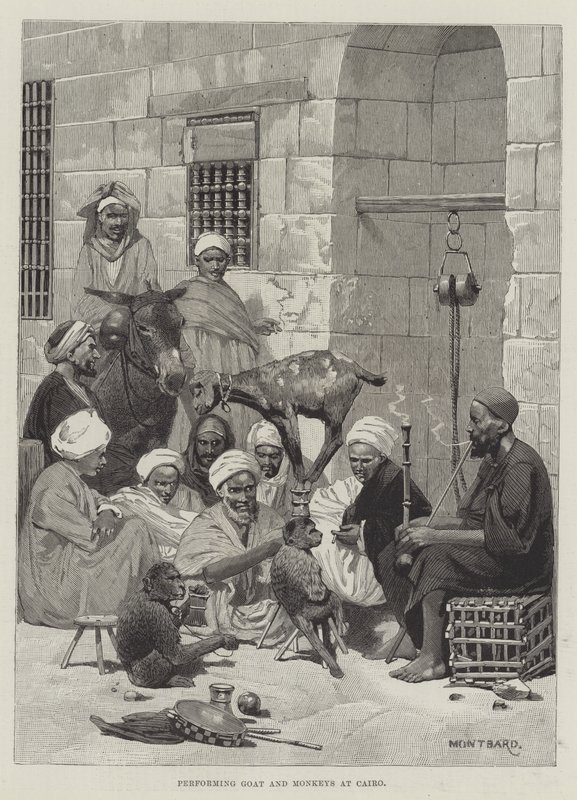 Vorführende Ziege und Affen in Kairo von Charles Auguste Loye