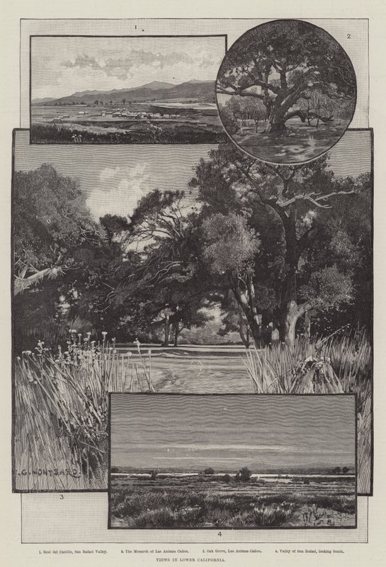 Ansichten in Niederkalifornien von Charles Auguste Loye