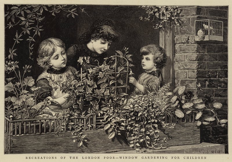 Freizeitbeschäftigungen der Londoner Armen, Fenster-Gartenarbeit für Kinder von Charles J. Staniland
