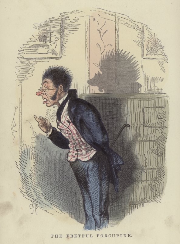 Das reizbare Stachelschwein von Charles Henry Bennett