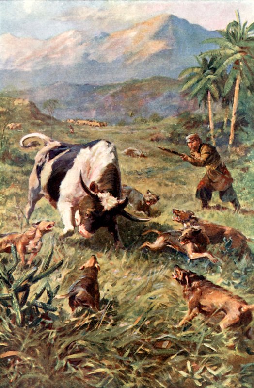 Jagd auf Wildrinder in Haiti von Charles Mills Sheldon
