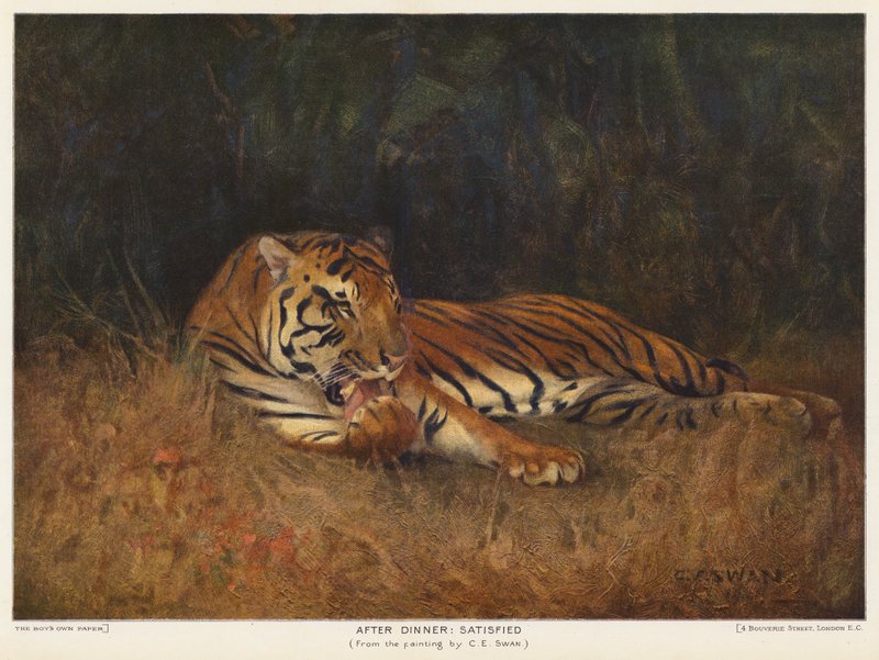 Nach dem Abendessen, Zufrieden von Cuthbert Edmund Swan