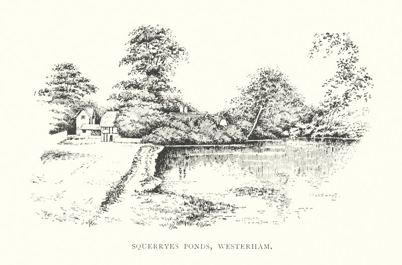 Squerryes Teiche, Westerham von Duncan Moul