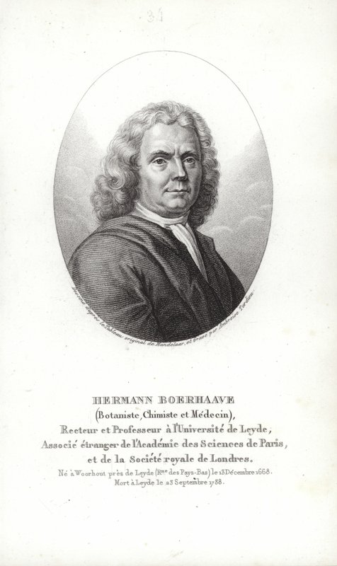 Herman Boerhaave von Dutch School