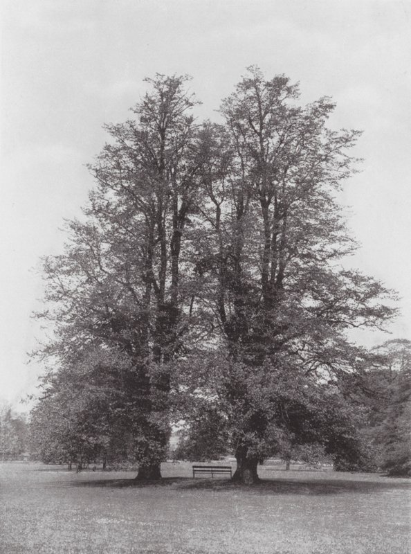 Kew Gardens, um 1900 von E. J. Wallis