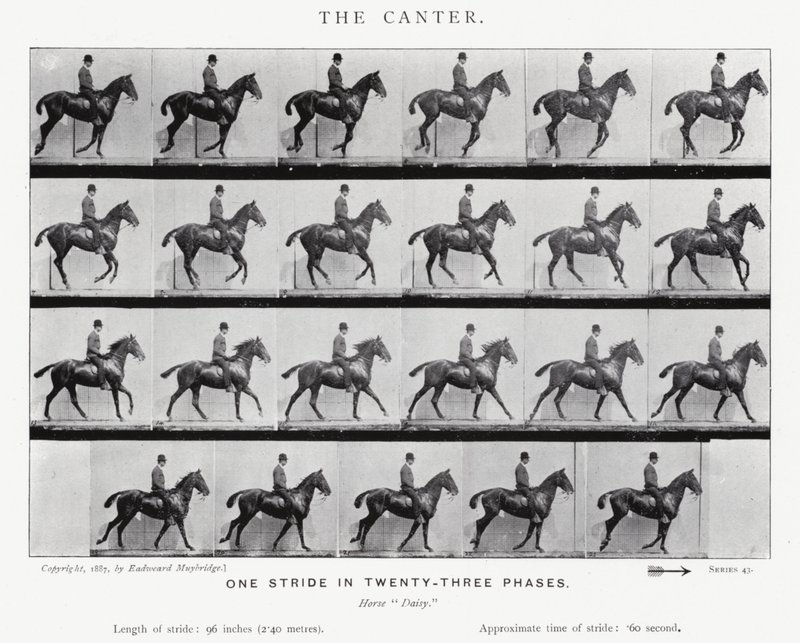 Eadweard Muybridge: Der Kanter von Eadweard Muybridge