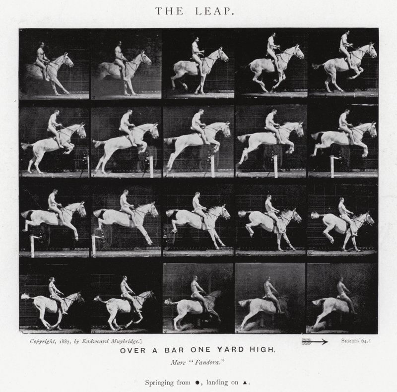 Der Sprung von Eadweard Muybridge