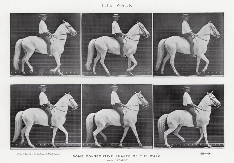 Eadweard Muybridge: Der Gang von Eadweard Muybridge