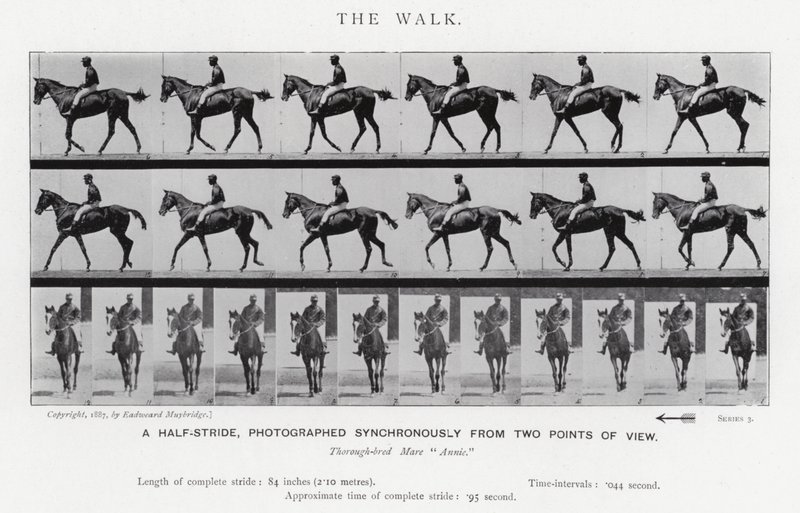 Eadweard Muybridge: Der Gang von Eadweard Muybridge