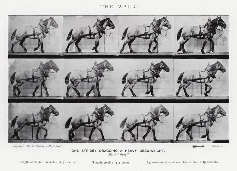 Eadweard Muybridge: Der Gang von Eadweard Muybridge