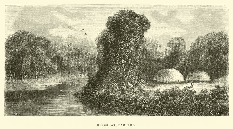 Fluss bei Pachiri von Edouard Riou