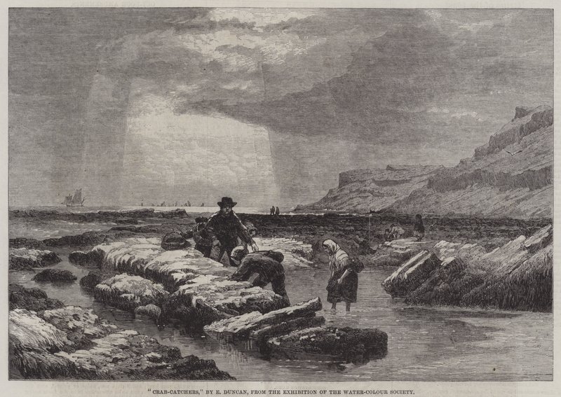 Krabbenfänger von Edward Duncan