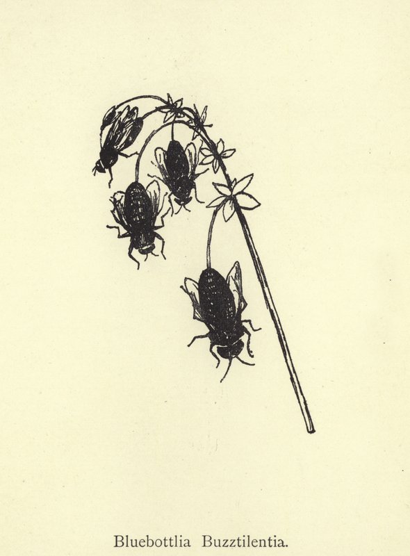 Bluebottlia Buzztilentia von Edward Lear