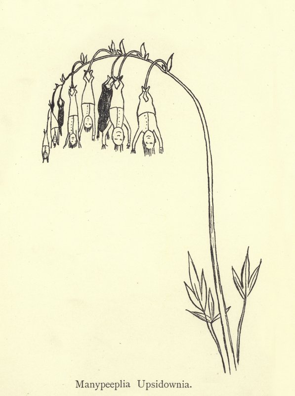Manypeeplia Upsidownia von Edward Lear