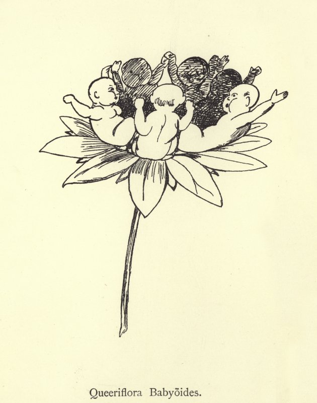 Queeriflora Babyoides von Edward Lear