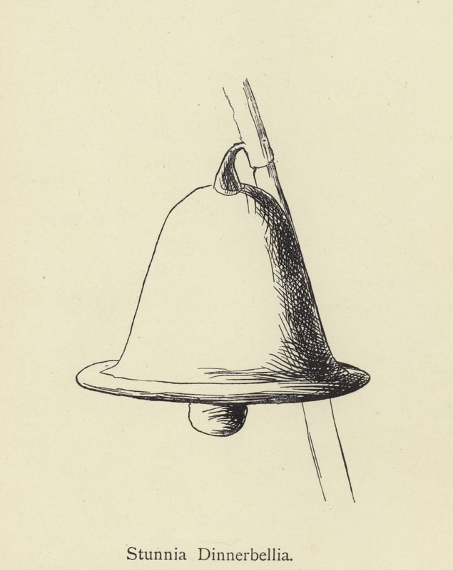 Stunnia Dinnerbellia von Edward Lear