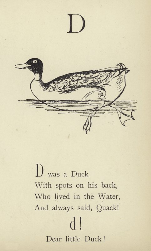 Der Buchstabe D von Edward Lear