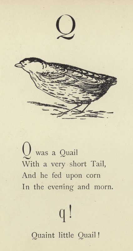 Der Buchstabe Q von Edward Lear