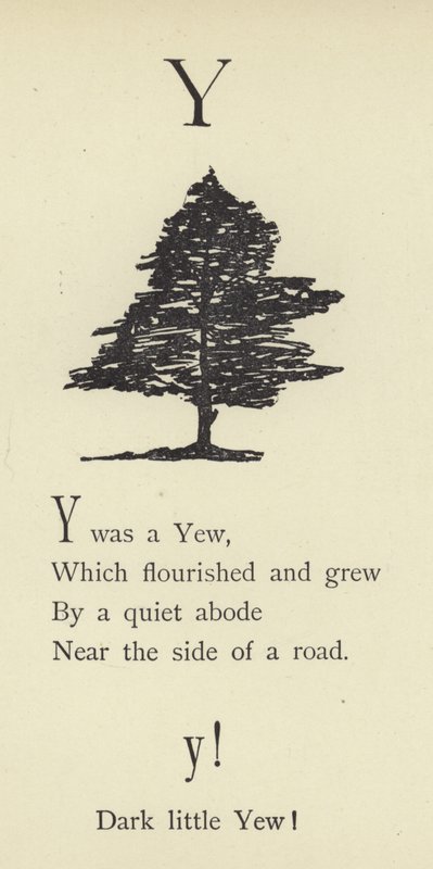 Der Buchstabe Y von Edward Lear