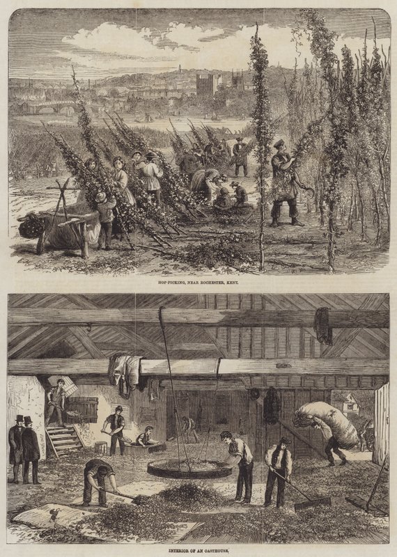 Hopfenernte in Kent von Edward Hull