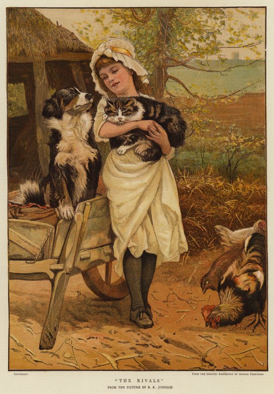 Die Rivalen von Edward Killingworth Johnson