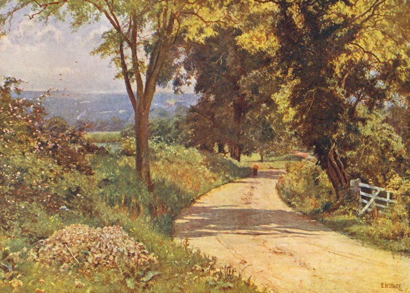 Mein Weg von Edward Wilkins Waite