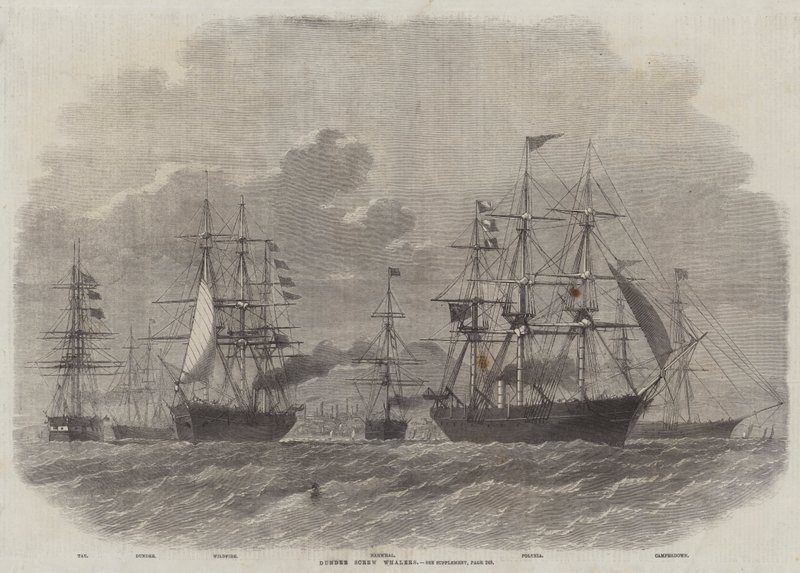 Dundee-Schraubenwalfänger von Edwin Weedon