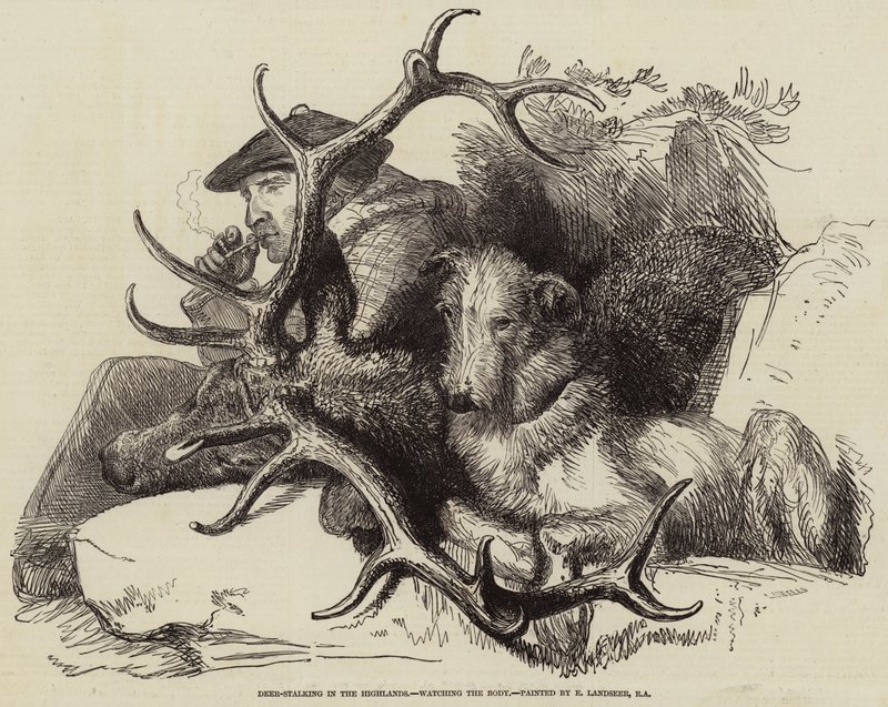 Hirschjagd in den Highlands, den Körper beobachtend von Edwin Landseer